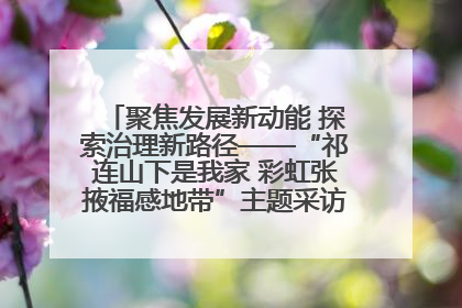 聚焦发展新动能 探索治理新路径——“祁连山下是我家 彩虹张掖福感地带”主题采访活动走进山丹