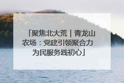 聚焦北大荒｜青龙山农场：党建引领聚合力 为民服务践初心