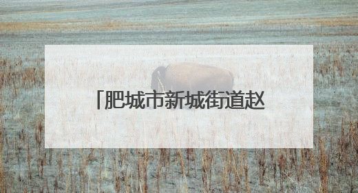 肥城市新城街道赵庄社区开展“安全生产 青年当先”安全生产月系列活动
