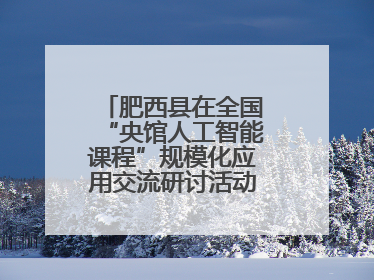 肥西县在全国“央馆人工智能课程”规模化应用交流研讨活动作交流发言