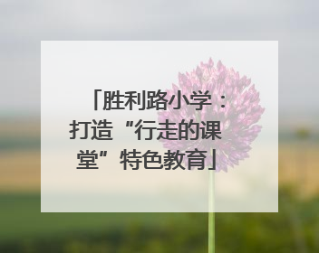 胜利路小学：打造“行走的课堂”特色教育