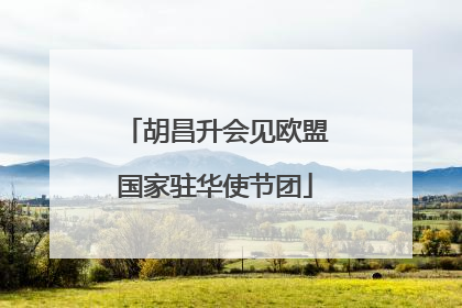 胡昌升会见欧盟国家驻华使节团