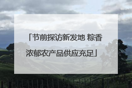 节前探访新发地 粽香浓郁农产品供应充足
