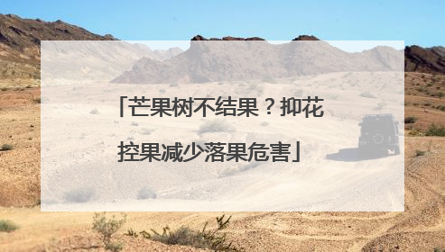 芒果树不结果？抑花控果减少落果危害
