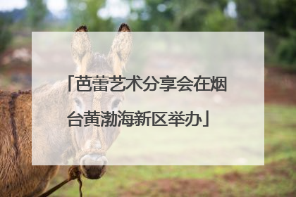 芭蕾艺术分享会在烟台黄渤海新区举办