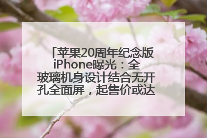 苹果20周年纪念版iPhone曝光：全玻璃机身设计结合无开孔全面屏，起售价或达1.45万人民币