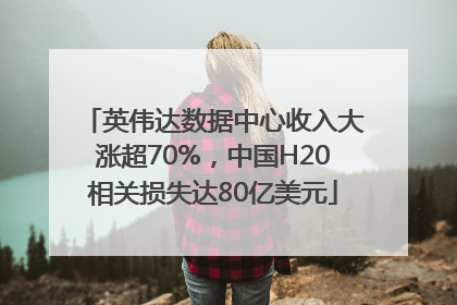 英伟达数据中心收入大涨超70%，中国H20相关损失达80亿美元