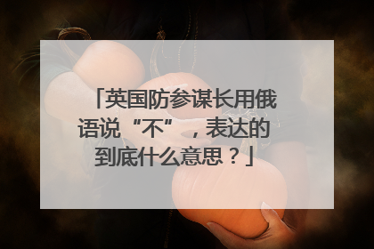 英国防参谋长用俄语说“不”，表达的到底什么意思？