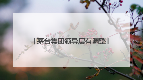 茅台集团领导层有调整
