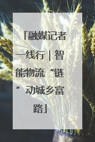融媒记者一线行｜智能物流“链”动城乡富路