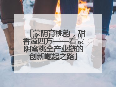蒙阴育桃韵，甜香溢四方——看蒙阴蜜桃全产业链的创新崛起之路