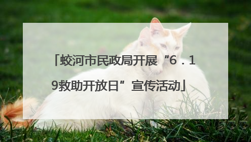 蛟河市民政局开展“6．19救助开放日”宣传活动