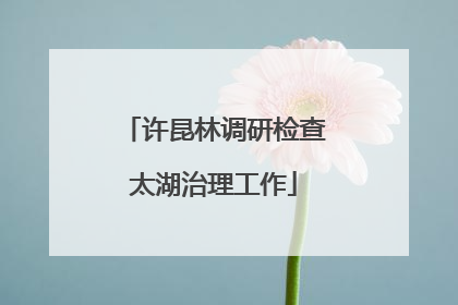 许昆林调研检查太湖治理工作