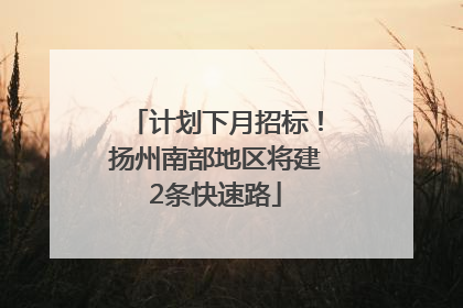 计划下月招标！扬州南部地区将建2条快速路