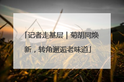 记者走基层｜菊胡同焕新，转角邂逅老味道