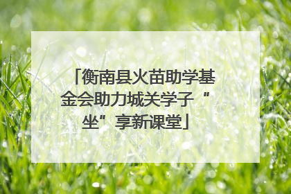衡南县火苗助学基金会助力城关学子“坐”享新课堂