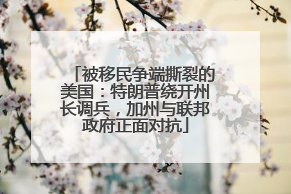 被移民争端撕裂的美国：特朗普绕开州长调兵，加州与联邦政府正面对抗