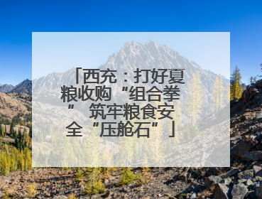 西充：打好夏粮收购“组合拳” 筑牢粮食安全“压舱石”