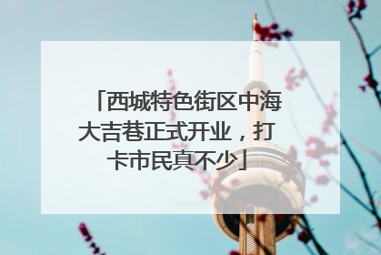 西城特色街区中海大吉巷正式开业，打卡市民真不少