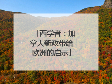 西学者：加拿大新政带给欧洲的启示