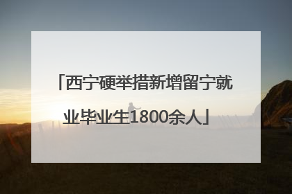 西宁硬举措新增留宁就业毕业生1800余人