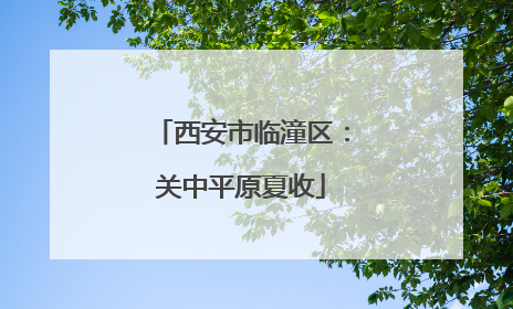 西安市临潼区：关中平原夏收
