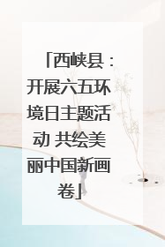 西峡县：开展六五环境日主题活动 共绘美丽中国新画卷