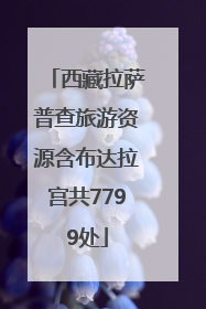 西藏拉萨普查旅游资源含布达拉宫共7799处