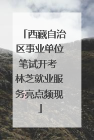 西藏自治区事业单位笔试开考 林芝就业服务亮点频现