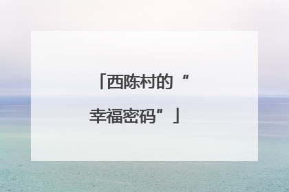 西陈村的“幸福密码”