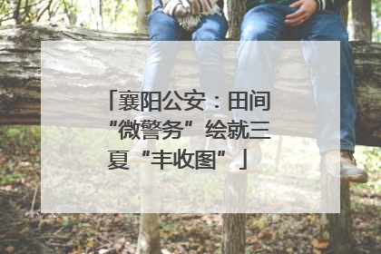 襄阳公安：田间“微警务”绘就三夏“丰收图”