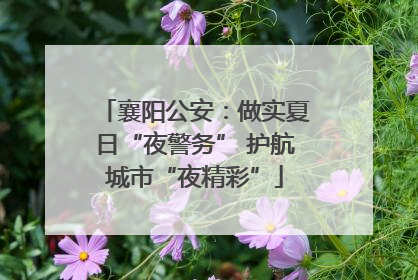 襄阳公安：做实夏日“夜警务” 护航城市“夜精彩”