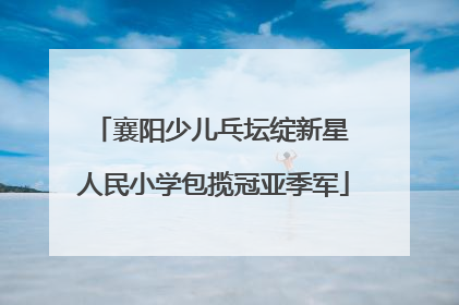 襄阳少儿乓坛绽新星 人民小学包揽冠亚季军