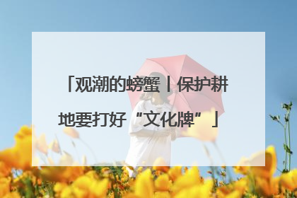 观潮的螃蟹丨保护耕地要打好“文化牌”