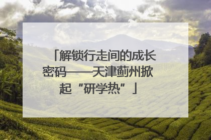 解锁行走间的成长密码——天津蓟州掀起“研学热”