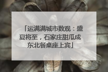 运满满城市数观：盛夏将至，石家庄甜瓜成东北餐桌座上宾