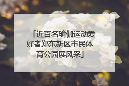 近百名瑜伽运动爱好者郑东新区市民体育公园展风采