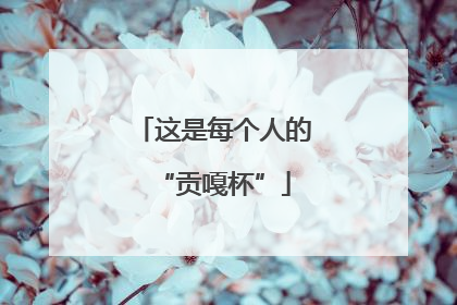 这是每个人的“贡嘎杯”