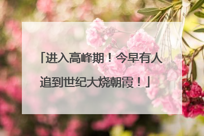 进入高峰期！今早有人追到世纪大烧朝霞！