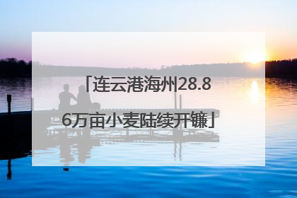 连云港海州28.86万亩小麦陆续开镰