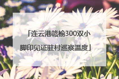 连云港赣榆300双小脚印见证驻村巡察温度