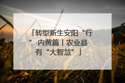 转型新生安阳“行”·内黄篇丨农业县有“大智慧”