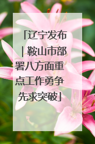 辽宁发布｜鞍山市部署八方面重点工作勇争先求突破