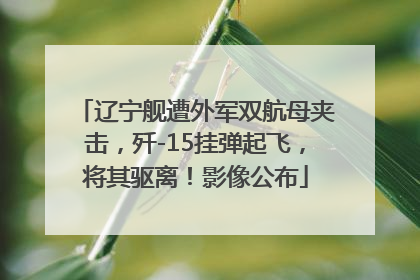 辽宁舰遭外军双航母夹击，歼-15挂弹起飞，将其驱离！影像公布