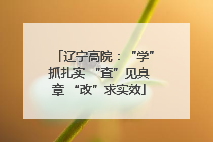 辽宁高院：“学”抓扎实 “查”见真章 “改”求实效