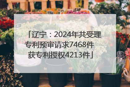 辽宁：2024年共受理专利预审请求7468件 获专利授权4213件