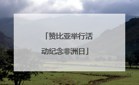 赞比亚举行活动纪念非洲日
