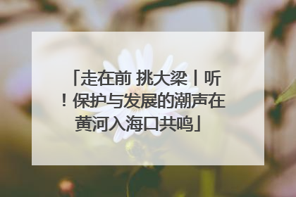 走在前 挑大梁丨听！保护与发展的潮声在黄河入海口共鸣