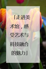 走进美术馆，感受艺术与科技融合的魅力