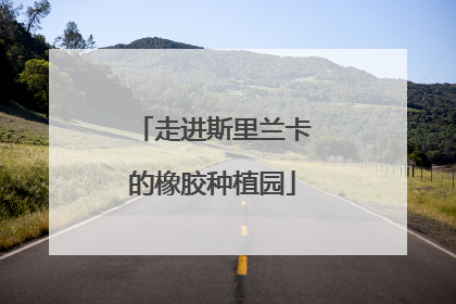 走进斯里兰卡的橡胶种植园
